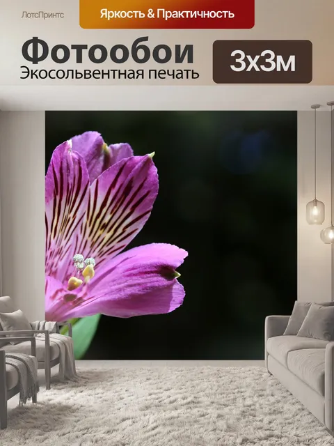 Фотообои Цветы