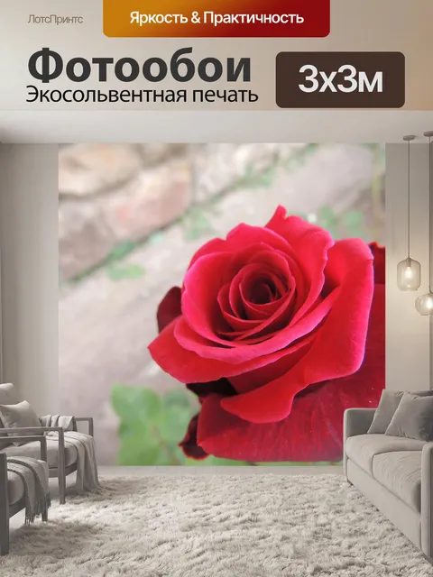 Фотообои Розы