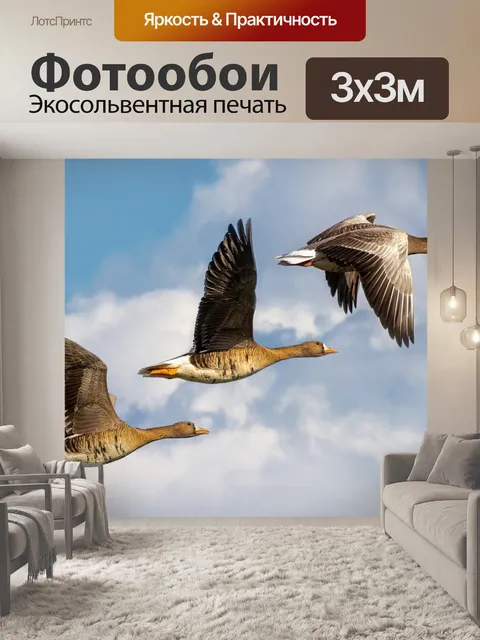 Фотообои Природа