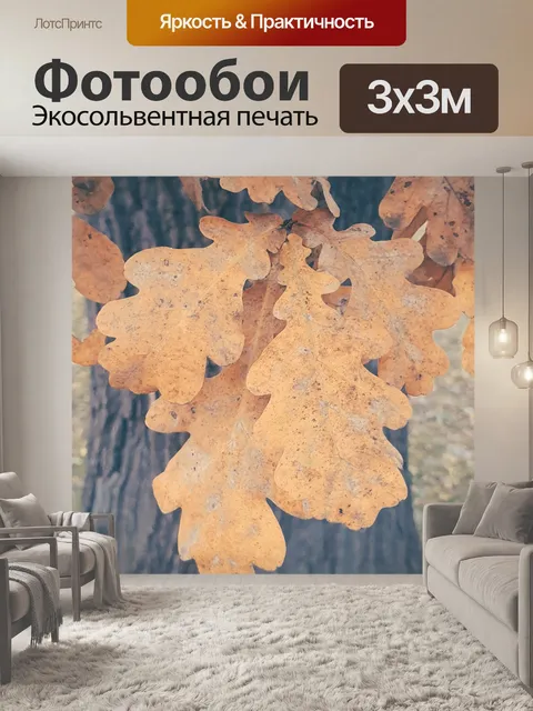 Фотообои Осенние дубовые листья
