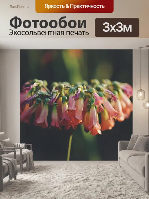 Фотообои Цветы