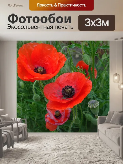Фотообои Мака
