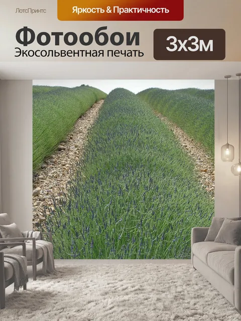 Фотообои Лаванда