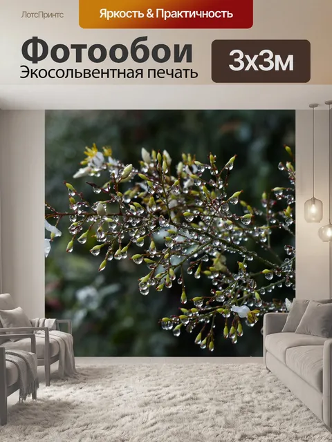 Фотообои Капли воды на листьях