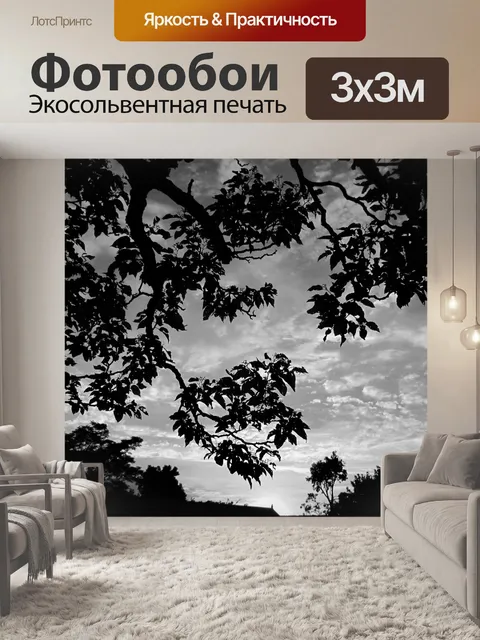 Фотообои черно-белый силуэт