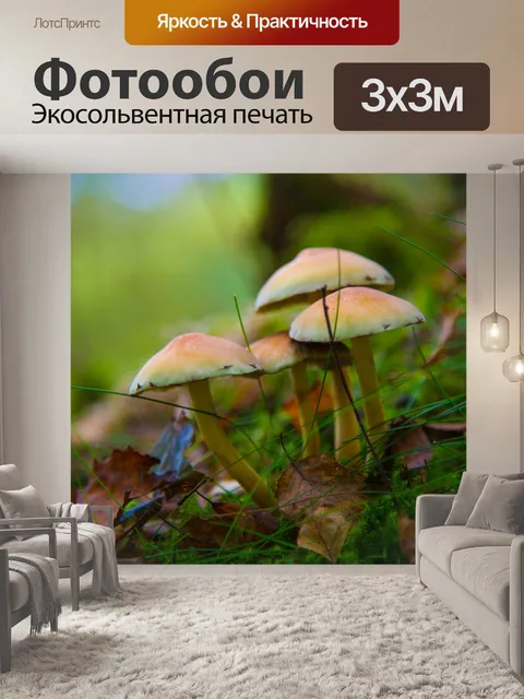 Фотообои гриб