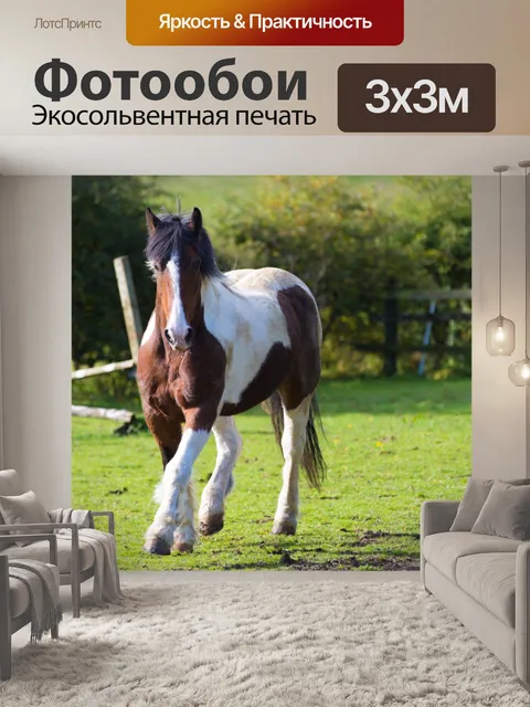 Фотообои лошадь