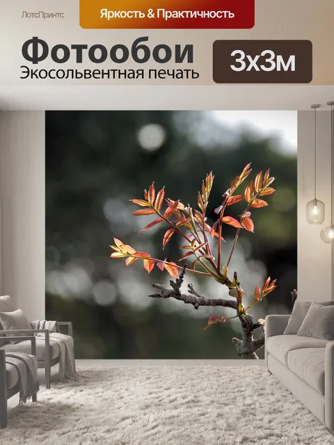 Фотообои Новые листья с боке в фоновом режиме