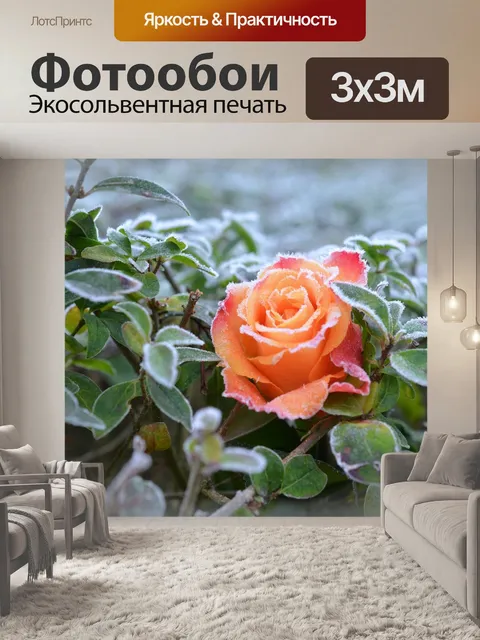 Фотообои Роза