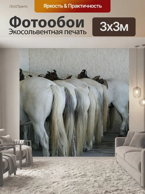 Фотообои Лошади