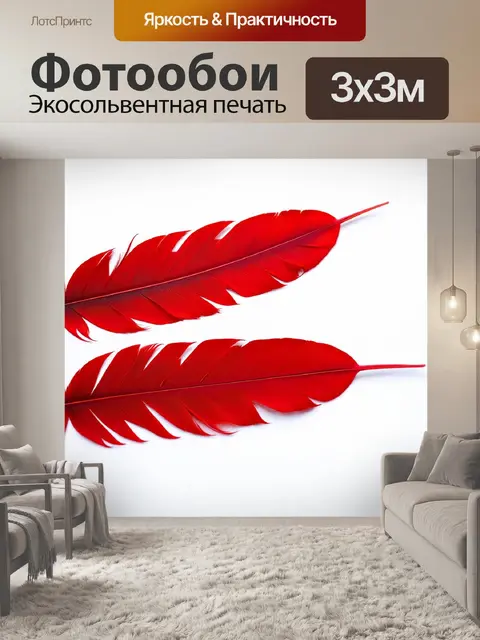 Фотообои красные перья птицы на белом фоне, детализированная макрофотография, акцент на цветах и текстурах