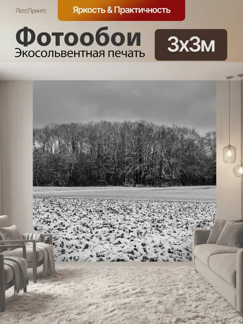 Фотообои Снег