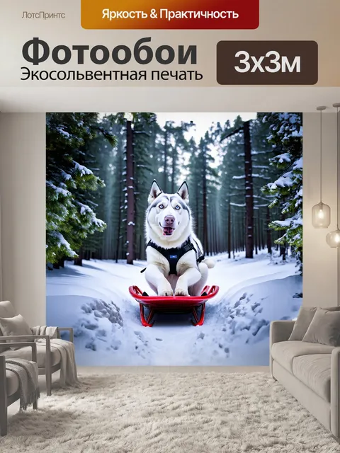 Фотообои белый хаски, в упряжке ездовой собаки, тянущийся вперед, по зимнему лесу, с замороженными деревьями и…
