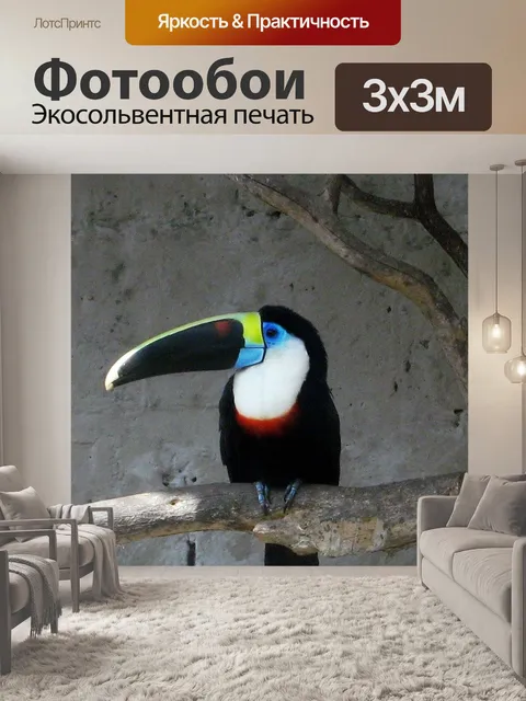 Фотообои Тукан