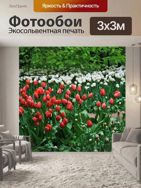 Фотообои тюльпаны, ботанические сады, москва