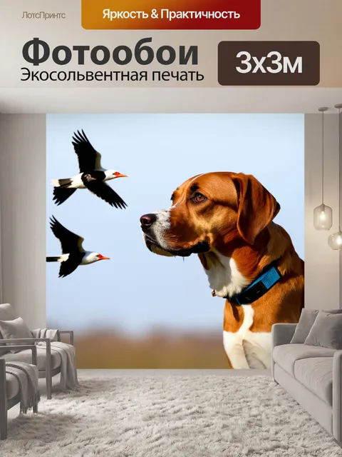 Фотообои пес, наблюдающий за перелётными птицами, забыв про время