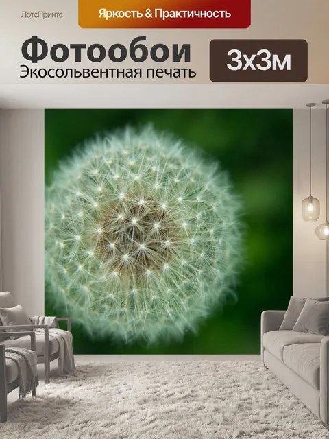 Фотообои Белый