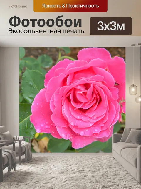 Фотообои Розы