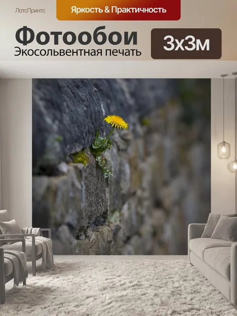 Фотообои Цветок