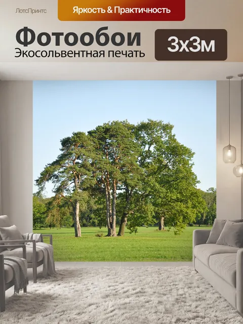 Фотообои Парк