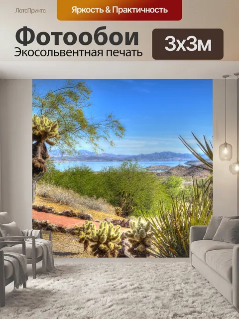 Фотообои Деревья кактусы Джошуа