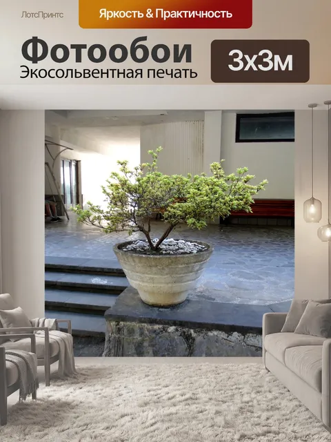 Фотообои Самшит