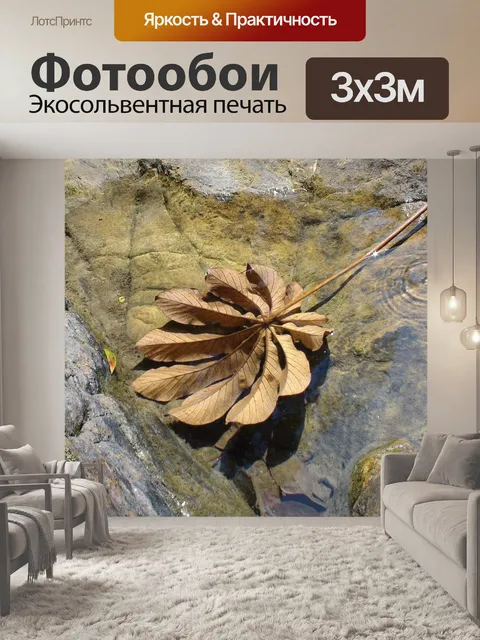 Фотообои Лист