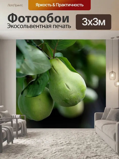 Фотообои Фрукты