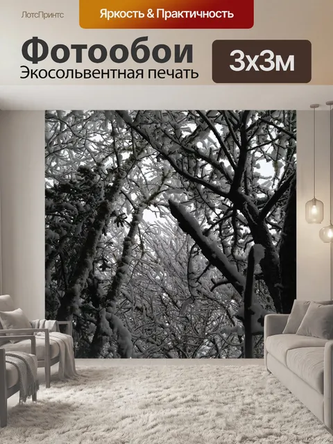 Фотообои Деревья
