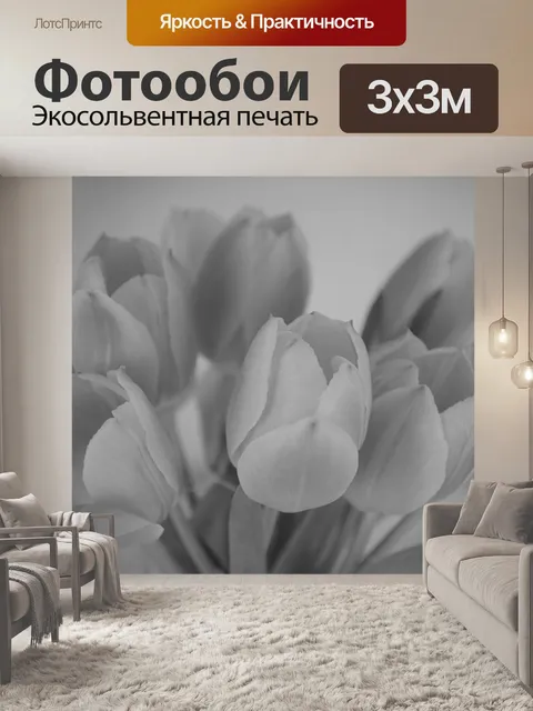 Фотообои Тюльпаны