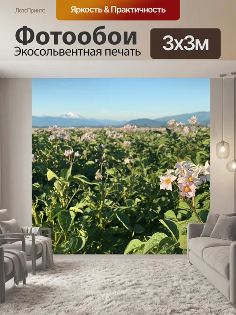 Фотообои Цветы