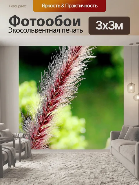 Фотообои Декоративная трава