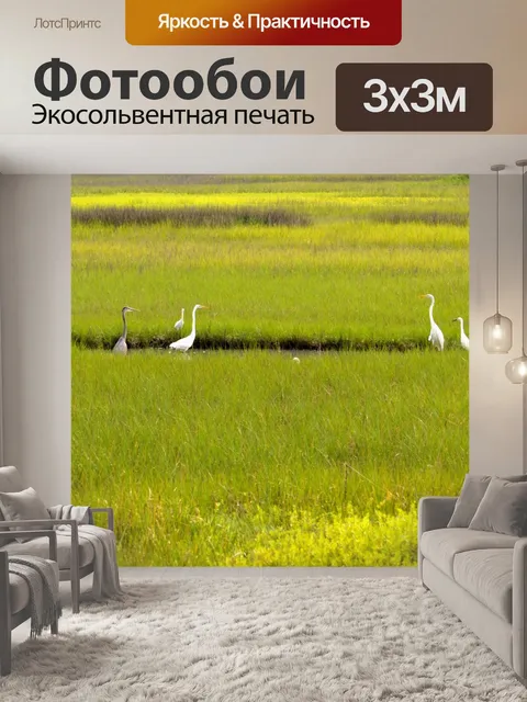 Фотообои Тропические птицы