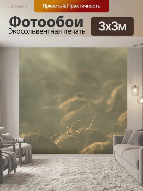 Фотообои Кокосы