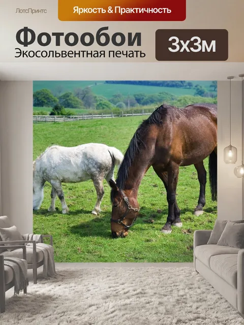 Фотообои Долина