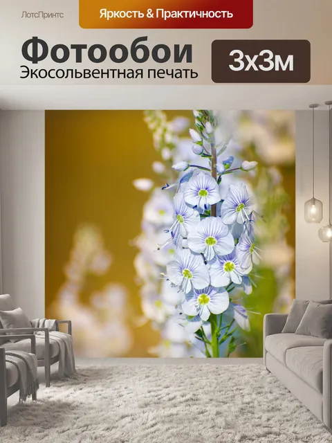 Фотообои цветок