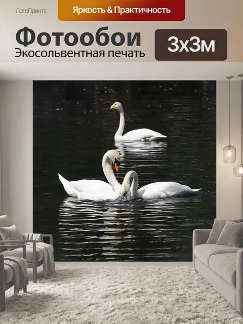 Фотообои Лебеди