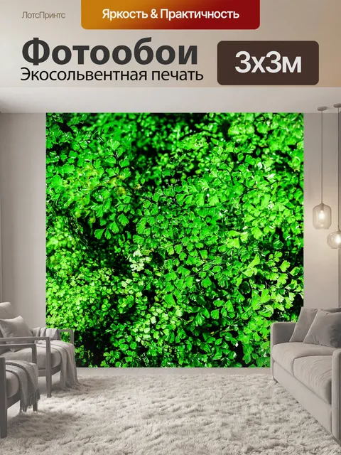 Фотообои Фон из листьев папоротника