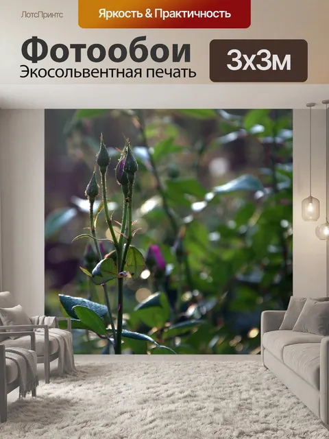 Фотообои Новые бутоны