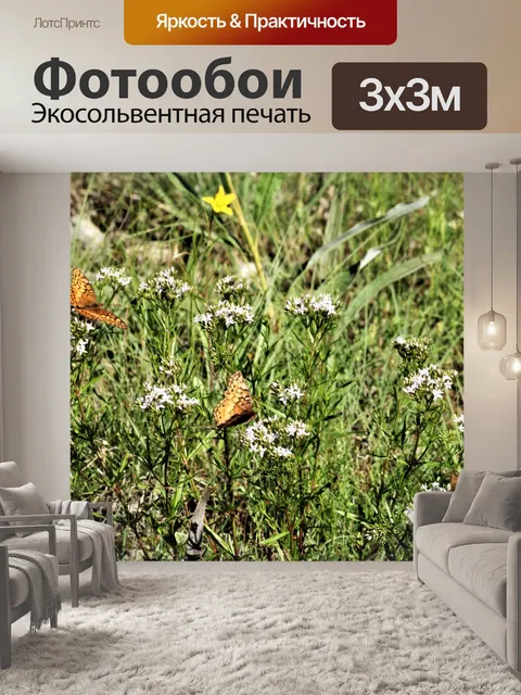 Фотообои Пестрые бабочки рябчика 3