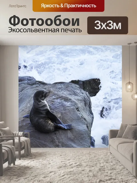 Фотообои Тюлень
