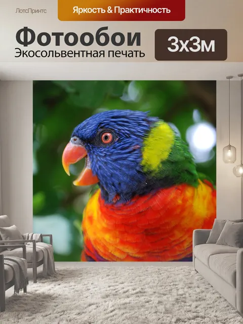 Фотообои Птица