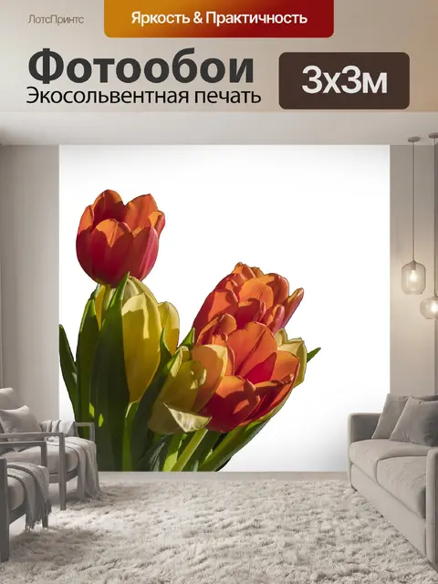 Фотообои Тюльпаны