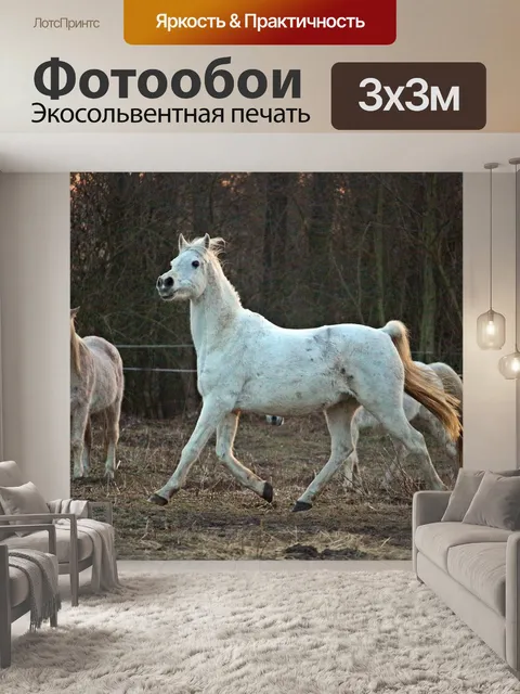 Фотообои Лошадь