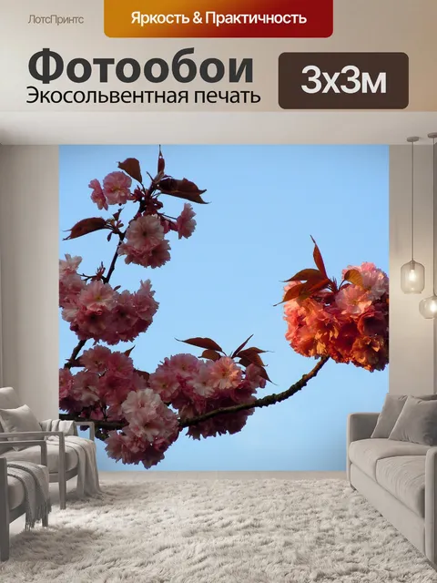 Фотообои Вишня в цвету