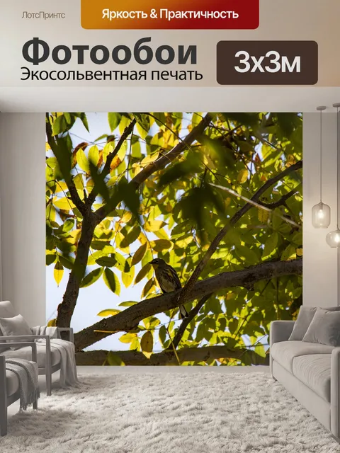 Фотообои Дом Финч на ветке