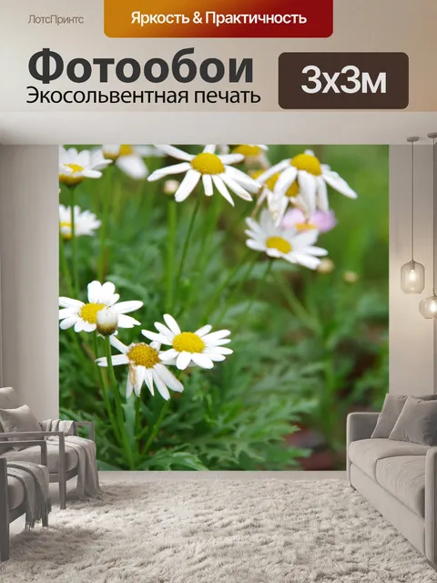 Фотообои Маленькие белые цветы