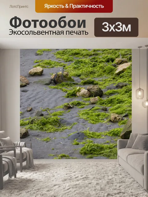 Фотообои Мох у залива