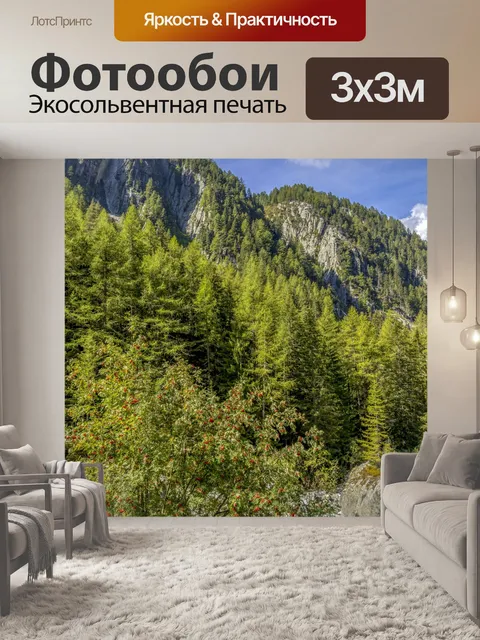 Фотообои Летний лесной путь