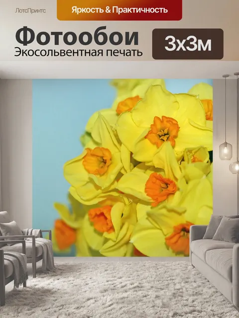 Фотообои Нарцисс цветы